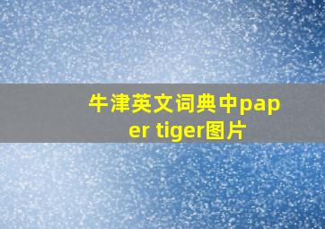 牛津英文词典中paper tiger图片